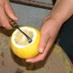 bergarte lavoro bergamotto artigianale (1)